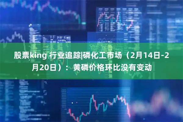 股票king 行业追踪|磷化工市场（2月14日-2月20日）：黄磷价格环比没有变动