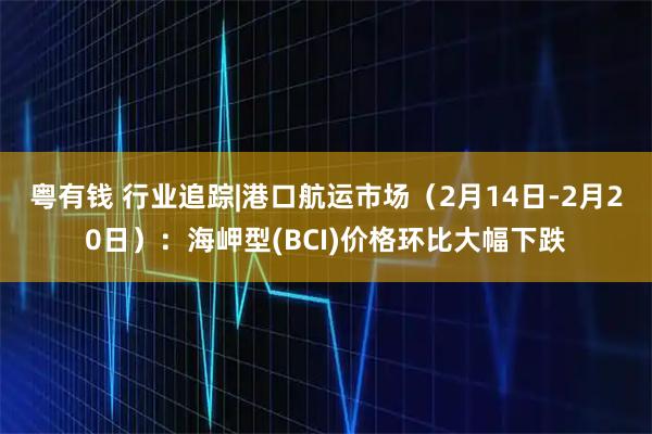 粤有钱 行业追踪|港口航运市场（2月14日-2月20日）：海岬型(BCI)价格环比大幅下跌