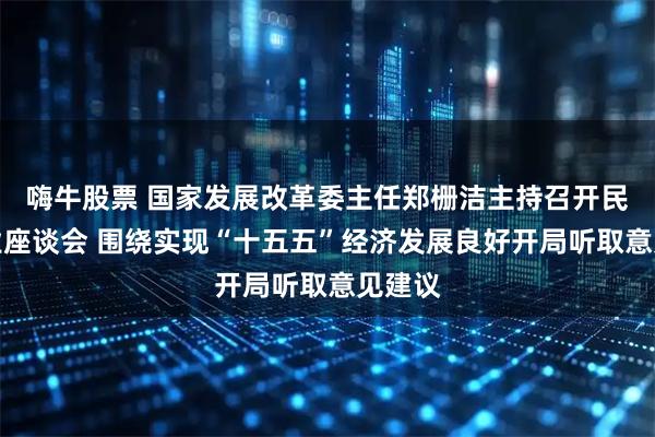 嗨牛股票 国家发展改革委主任郑栅洁主持召开民营企业座谈会 围绕实现“十五五”经济发展良好开局听取意见建议