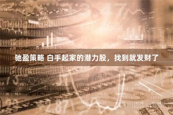 驰盈策略 白手起家的潜力股，找到就发财了