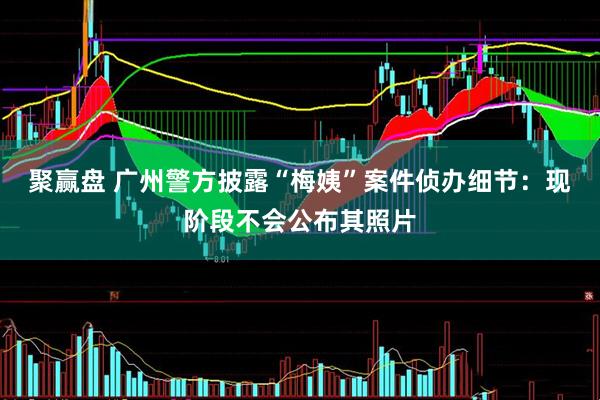 聚赢盘 广州警方披露“梅姨”案件侦办细节：现阶段不会公布其照片