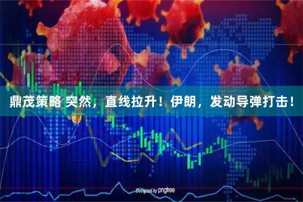 鼎茂策略 突然，直线拉升！伊朗，发动导弹打击！