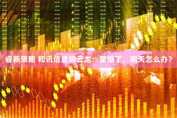 睿新策略 和讯信息胡云龙：量缩了，明天怎么办？