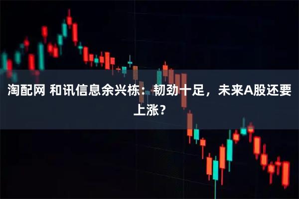 淘配网 和讯信息余兴栋：韧劲十足，未来A股还要上涨？