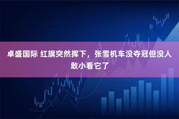 卓盛国际 红旗突然挥下，张雪机车没夺冠但没人敢小看它了