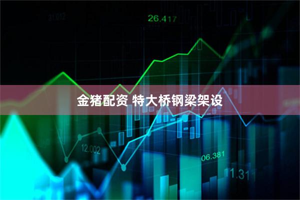 金猪配资 特大桥钢梁架设
