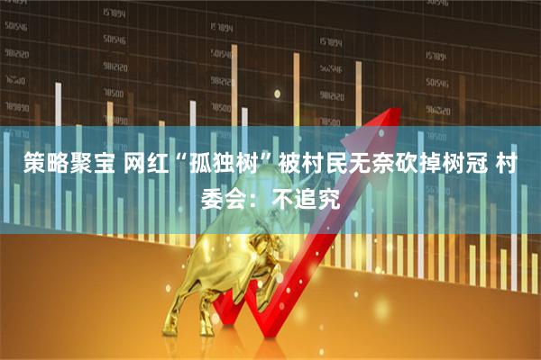 策略聚宝 网红“孤独树”被村民无奈砍掉树冠 村委会：不追究