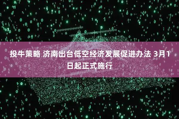 投牛策略 济南出台低空经济发展促进办法 3月1日起正式施行
