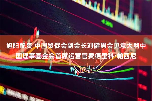 旭阳配资 中国贸促会副会长刘健男会见意大利中国理事基金会首席运营官费德里科·帕西尼