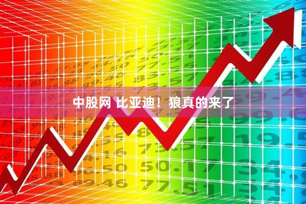 中股网 比亚迪！狼真的来了