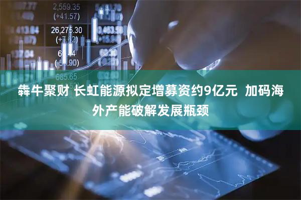 犇牛聚财 长虹能源拟定增募资约9亿元  加码海外产能破解发展瓶颈