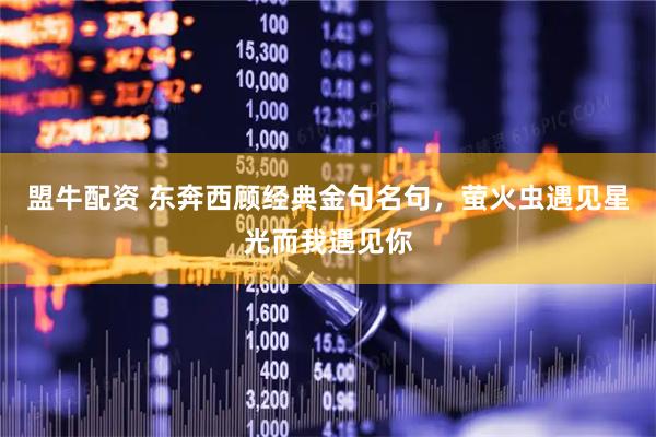 盟牛配资 东奔西顾经典金句名句，萤火虫遇见星光而我遇见你