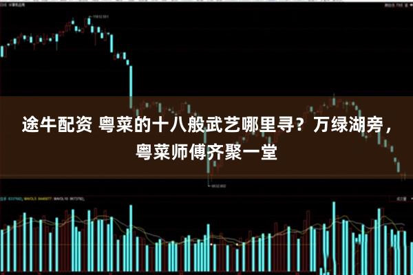途牛配资 粤菜的十八般武艺哪里寻？万绿湖旁，粤菜师傅齐聚一堂