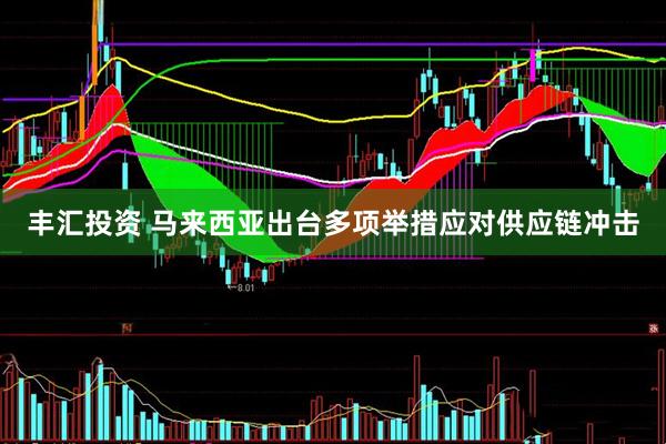 丰汇投资 马来西亚出台多项举措应对供应链冲击