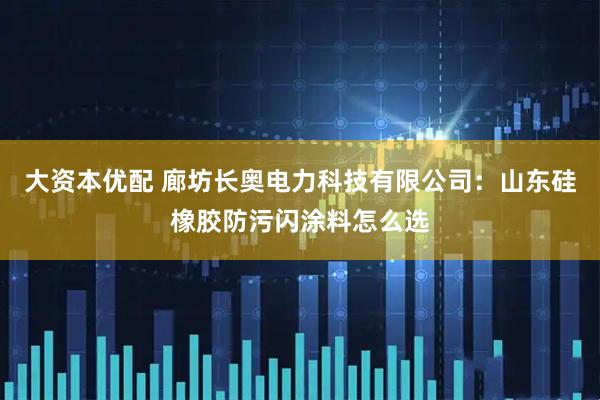 大资本优配 廊坊长奥电力科技有限公司：山东硅橡胶防污闪涂料怎么选