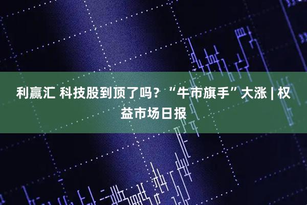 利赢汇 科技股到顶了吗?“牛市旗手”大涨 | 权益市场日报