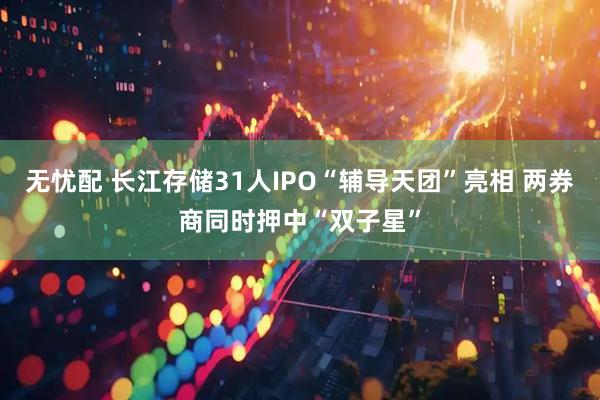 无忧配 长江存储31人IPO“辅导天团”亮相 两券商同时押中“双子星”