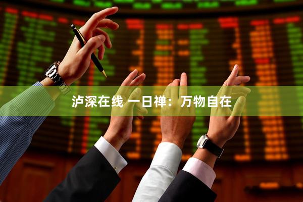 泸深在线 一日禅：万物自在