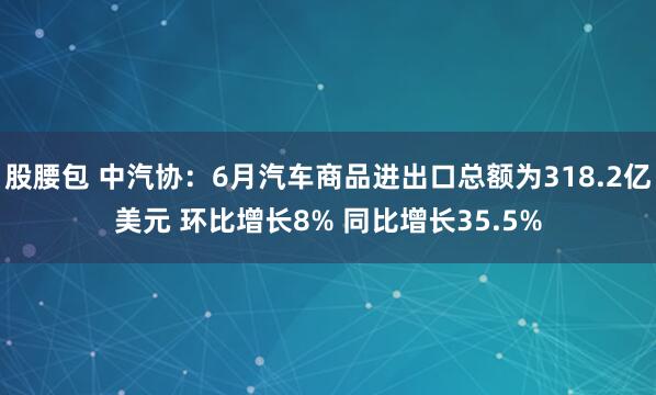 股腰包 中汽协：6月汽车商品进出口总额为318.2亿美元 环比增长8% 同比增长35.5%