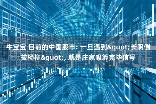 牛宝宝 目前的中国股市: 一旦遇到"长阴倒拔杨柳", 就是庄家吸筹完毕信号